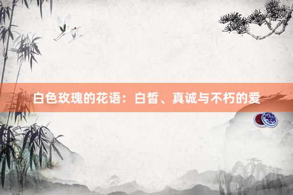白色玫瑰的花语：白皙、真诚与不朽的爱