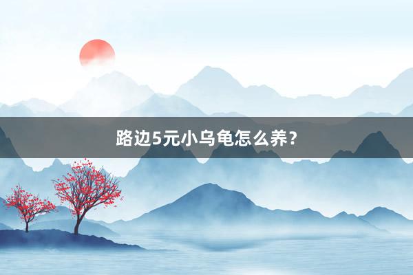 路边5元小乌龟怎么养？