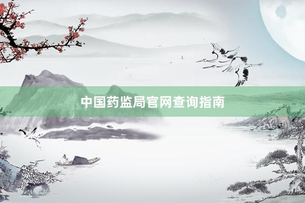 中国药监局官网查询指南