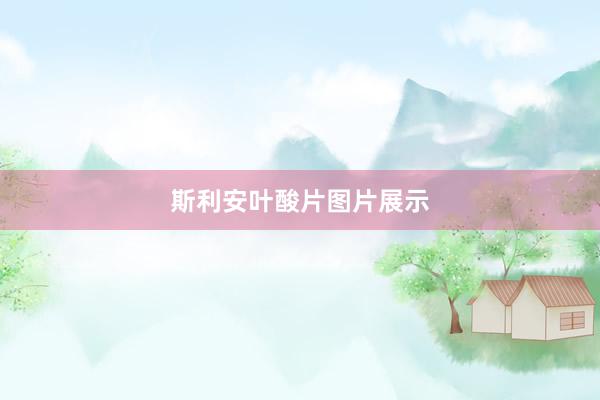 斯利安叶酸片图片展示